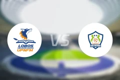 洛沃斯墨vs奥兰乔FC比分预测【2024/08/04】