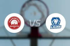 帕德博恩vsPS卡尔斯鲁厄比分预测【2025/11/23】