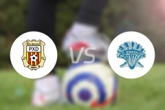 辛达乌拉利亚vs比尼萨冷比分预测【2026/02/15】