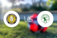 阿斯尔vs迪杰尼斯比分预测【2025/12/06】