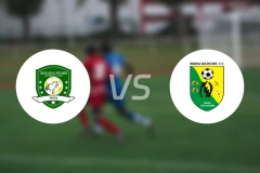 阿杜亚纳vs比比亚尼金星比分预测【2026/04/10】