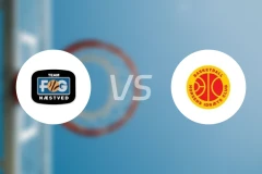 内斯提夫vs贺森斯比分预测【2024/11/29】
