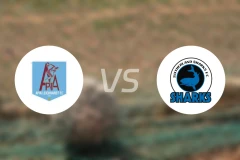 莱卡特老虎vs萨瑟兰鲨鱼比分预测【2026/03/21】