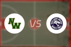 诺丁汉女篮vs奥克兰狼女篮比分预测【2026/04/05】