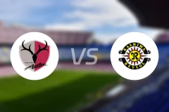 鹿岛鹿角vs柏太阳神比分预测【2026/02/21】