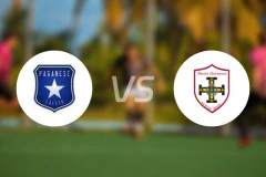 佩格尼斯vs皇室农业比分预测【2025/11/23】