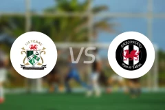 艾伯里斯特夫vs卡迪夫龙人比分预测【2026/01/24】