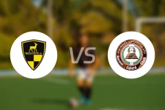 瓦迪格拉vs萨瓦赫尔比分预测【2025/11/04】