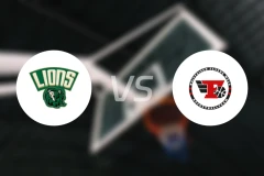 多恩比恩狮子vs韦尔斯飞人比分预测【2025/11/23】