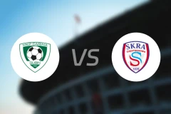 卡琳娜古宾vs琴斯托霍瓦火花比分预测【2025/11/22】