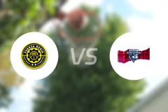 雷吉亚vs银色巨狼比分预测【2024/08/17】