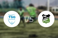 斯罗可候沃vsSG芬纳图普巴门诺尔比分预测【2025/11/02】