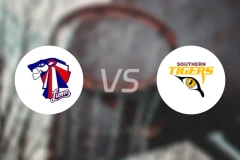 中央区狮子会vs南部老虎比分预测【2026/03/21】