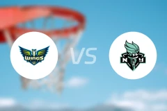 自由人vs飞翼比分预测【2024/08/23】