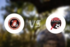 帕拉宾尼克vs勒赫比日比分预测【2025/11/30】