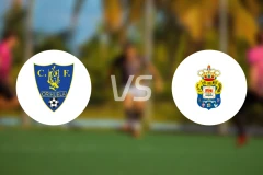 奥瑞韦拉vs拉斯帕尔马斯竞技比分预测【2025/12/14】