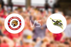 圣伊格纳西奥vs阿诺加比分预测【2026/04/02】