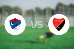普尔尼亚沃尔vsFK 博拉茨比分预测【2024/10/12】