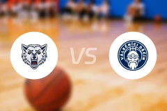 BK狼队vs迪辛瓦列奇尼比分预测【2026/01/28】