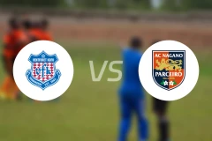 甲府风林vs长野帕塞罗比分预测【2026/02/14】