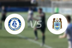 本廷塔克纳vs比尼斯纳勒比分预测【2026/04/06】