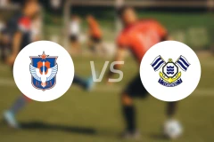 新潟天鹅vsFC今治比分预测【2026/04/18】