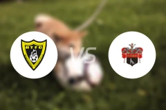 哈伯勒镇vs萨德贝利比分预测【2025/11/12】