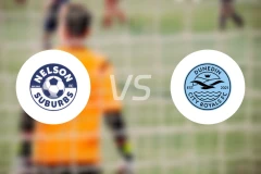 纳尔逊郊区vs度尼丁城皇家队比分预测【2026/04/05】