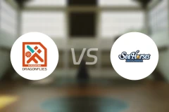 广岛蜻蜓vs三河海马比分预测【2025/11/12】