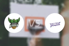 灵伍德老鹰女篮vs北方力量女篮比分预测【2026/04/11】