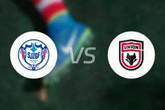 石家庄功夫vs陕西联合录像回放【2025/08/17】