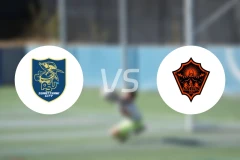 素叻市vs沙敦府比分预测【2026/02/21】