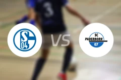 沙尔克04vs帕德博恩比分预测【2025/11/29】