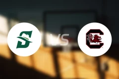 斯泰森大学vs南卡罗莱纳大学比分预测【2025/12/07】