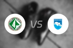 阿维利诺U19vs佩斯卡拉青年队比分预测【2026/02/07】