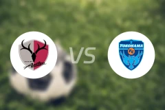 鹿岛鹿角vs横滨FC比分结果战报【2025/11/08】