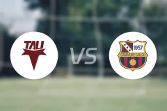 阿尔托帕西奥vs卡马伊奥雷比分预测【2025/11/16】