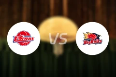 熊本火山vs岩手大公牛比分预测【2026/01/03】