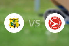 布拉希莱恩斯vs布拉希利亚FC比分预测【2026/01/11】