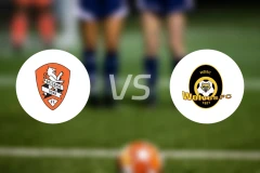 布里斯班狮吼青年队vs布里斯班狼队比分预测【2026/03/22】