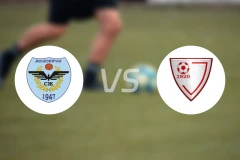 潘切沃泽勒vs帕拉辛比分结果战报【2024/12/14】