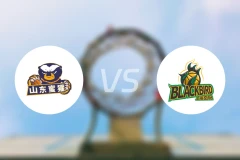 山东蜜獾vs上海玄鸟比分预测【2026/01/14】