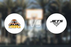 辛卓老虎vs尼达罗斯喷气机比分预测【2025/11/16】