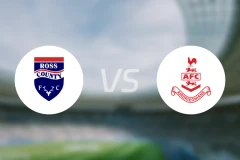 罗斯郡vs艾尔德里联比分预测【2025/12/06】