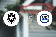 博塔弗戈vs皮涅鲁斯比分预测【2026/03/17】