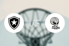 博塔弗戈vs巴西利亚比分预测【2025/11/19】