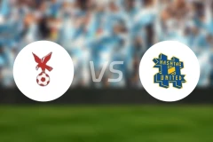 怀特豪克vs哈什塔格联比分预测【2026/02/07】