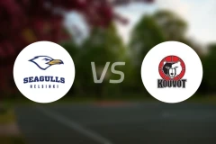 赫尔辛基海鸥vs科沃特比分预测【2025/12/17】