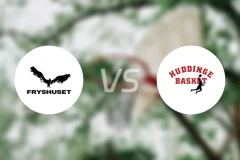 弗里舒塞特vs哈丁格比分预测【2026/03/22】