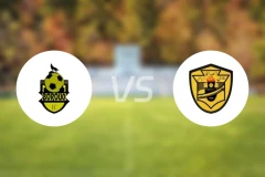 博鲁克vs沙达卡比分预测【2026/02/22】